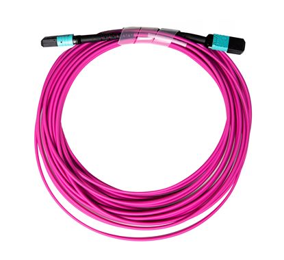 Picture of DYNAMIX 40M OM4 MPO ELITE Trunk Multimode Fibre Cable. POLARITY C