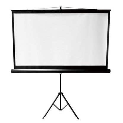 Picture of BRATECK 112' Projector Screen, with Tripod. 1:1 Aspect ratio.