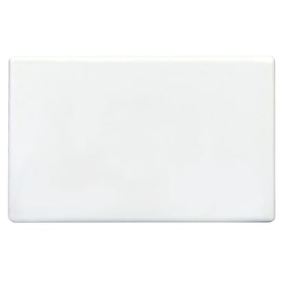 Picture of TRADESAVE Blank Plate. Accepts all Tradesave Mechanisms.