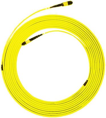 Picture of DYNAMIX 30M MPO APC ELITE Trunk Single mode Fibre Cable. POLARITY A