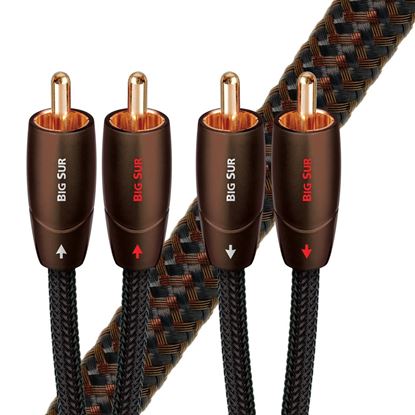 Picture of AUDIOQUEST Big Sur 3M 2 to 2 RCA male. Solid perf surface Copper
