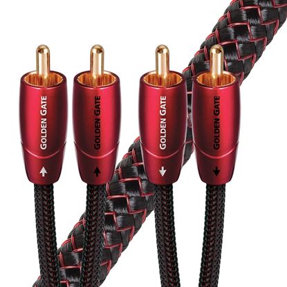 Picture of AUDIOQUEST Golden Gate 2M  2 to 2 RCA male. Solid perf surface copper
