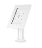 Picture of BRATECK Anti-Theft Countertop Tablet Kiosk Stand with Bolt Down