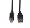 Picture of DYNAMIX 3m USB 2.0 Cable USB-A Male to USB-B Male Connectors.