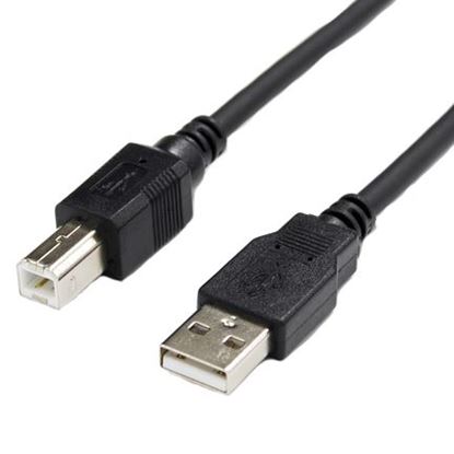 Picture of DYNAMIX 2m USB 2.0 Cable USB-A Male to USB-B Male Connectors.