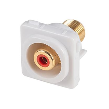 Picture of AMDEX Red RCA to F Connector. Gold Plated