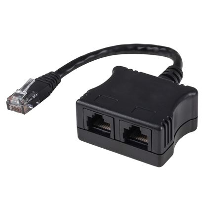 Picture of DYNAMIX RJ45 Dual Adapter (2x Digital Ph.) with short cable