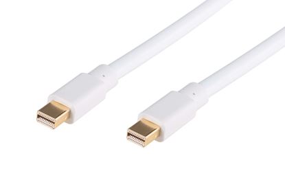 Picture of DYNAMIX 2M Mini DisplayPort Male to Mini DisplayPort Male Cable.