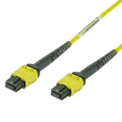 Picture of DYNAMIX 100M MPO APC ELITE Trunk Single-mode Fibre Cable. POLARITY C