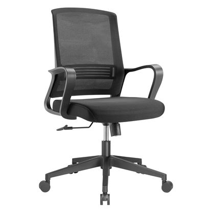 Picture of BRATECK Premium Office Chair with Superior Lumbar Support.