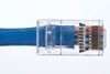 Picture of IDEAL INDUSTRIES CAT6 UTP RJ45 Push Through Plug. Pack of 50.