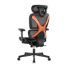 Picture of BRATECK SpineX Ergonomic Office Chair with Posture Enhancement.