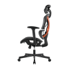 Picture of BRATECK SpineX Ergonomic Office Chair with Posture Enhancement.