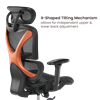 Picture of BRATECK SpineX Ergonomic Office Chair with Posture Enhancement.