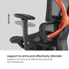 Picture of BRATECK SpineX Ergonomic Office Chair with Posture Enhancement.